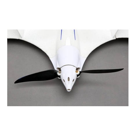 E-flite Wing Set Night Radian EFL3651 Parts